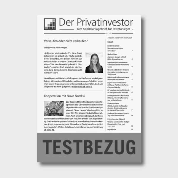 Der Privatinvestor Testbezug